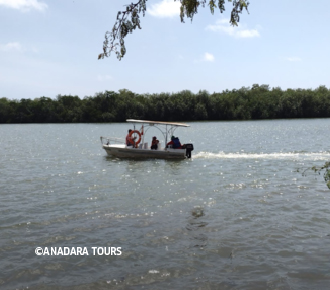 Manglares, Islas de Puerto Pizarro  y Pesca Deportiva en el Estero Jeli