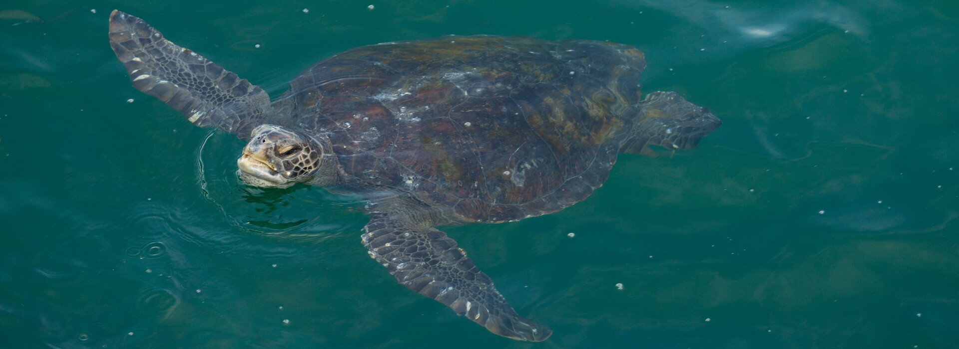 Aventura en el mar y pesca en Punta Sal