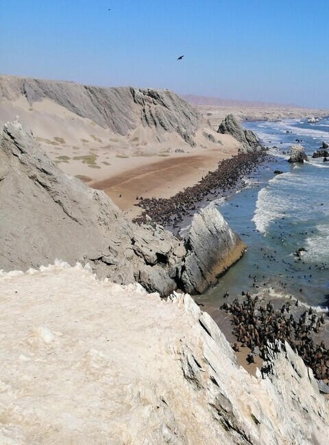 Full day Sechura - Ruta del desierto